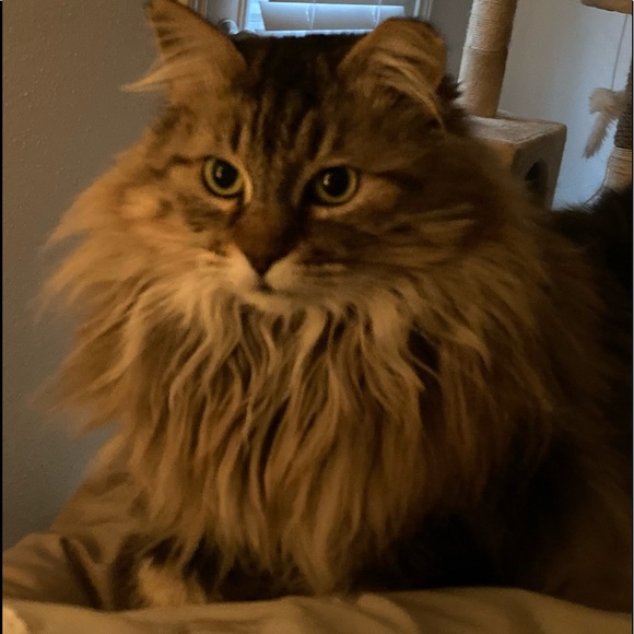 Meet your Posher, Jo - Picture 2 of 8